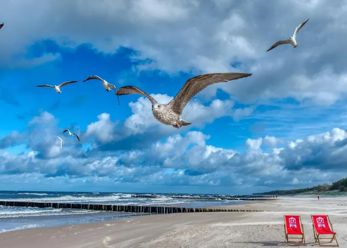 アパート 213 Z Basenem, Sauna, Jacuzzi, Przy Samej Plazy - 5d